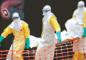 Ebola-virus5 1